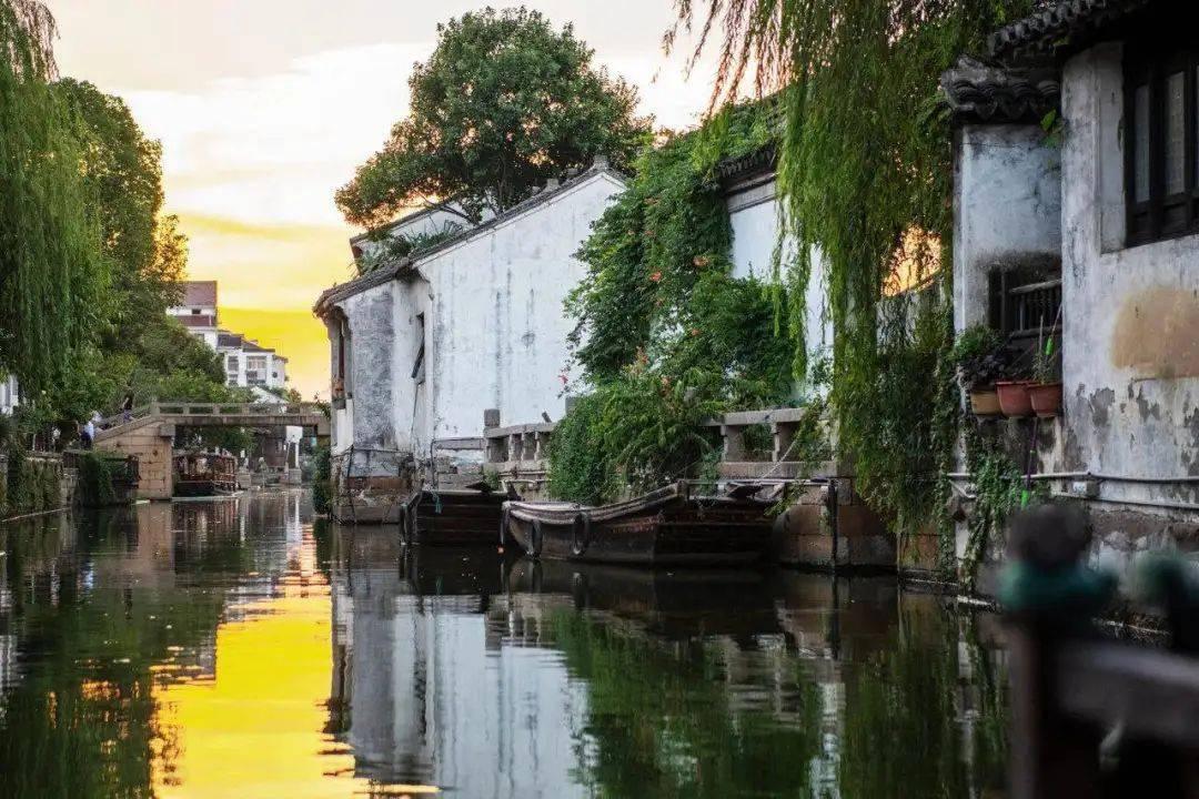 王疯子立军令状鏖战大杨湖,旅长三求援兵,最后来一团仅80兵